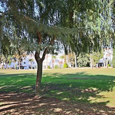 Ayma Lauro Golf 12 *